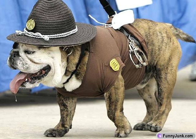 bulldogcop.jpg